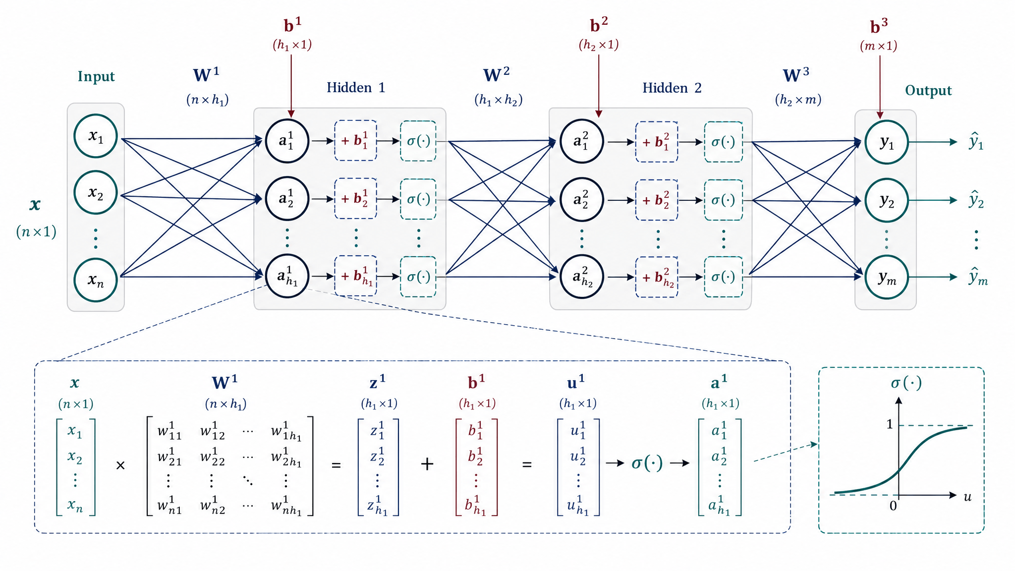 Multilayer perceptron computation mechanism diagram